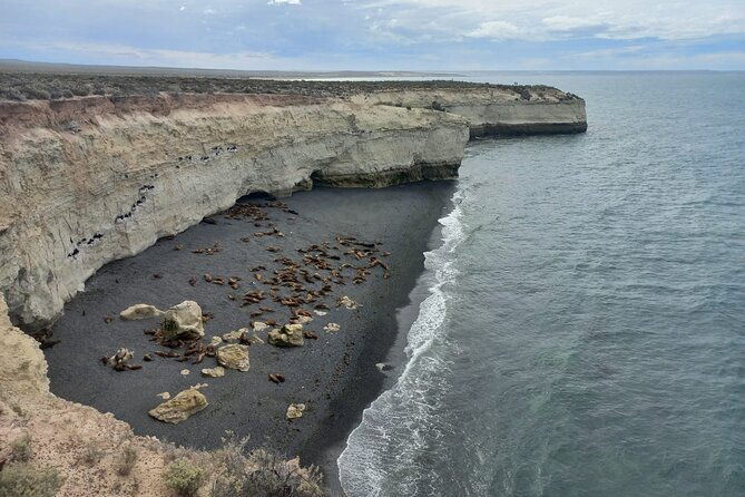 tour-south-circuit-best-of-puerto-madryn-in-4-hours