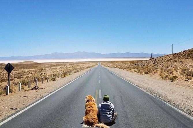 tour-to-cachi-from-salta