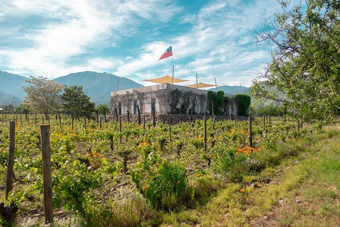 tour-to-maipo-boutique-wineries