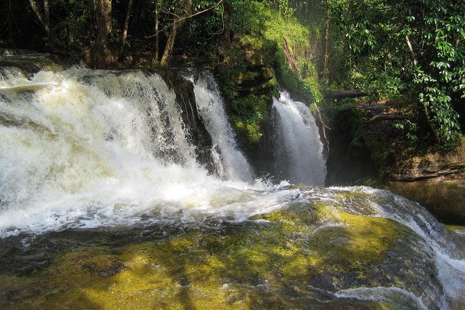 tour-to-presidente-figueiredo-amazon-waterfalls