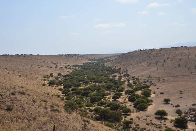 tour-to-valle-del-encanto-archeology-petroglyphs-flora-fauna-and-springs