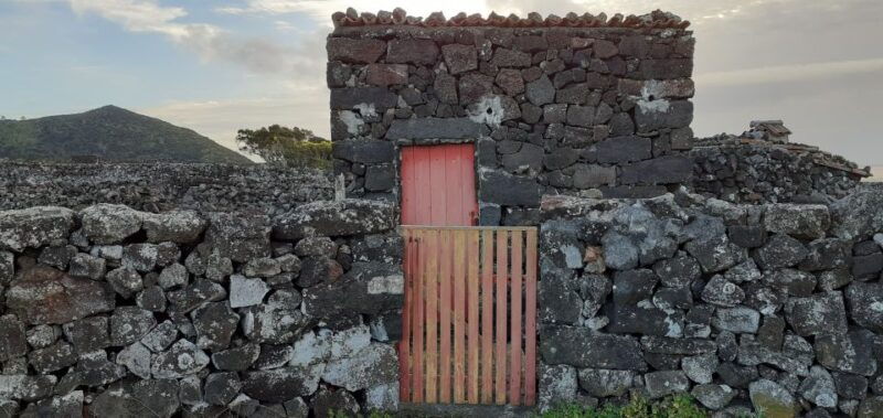 tours-on-pico-island-cultural-and-natural-landscape