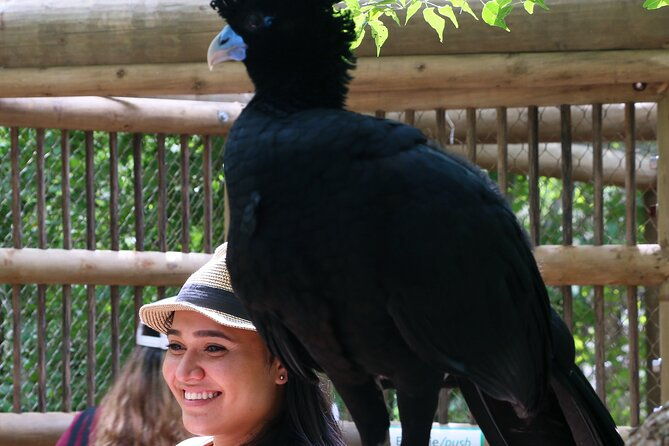 transportation-to-the-national-aviary-of-colombia