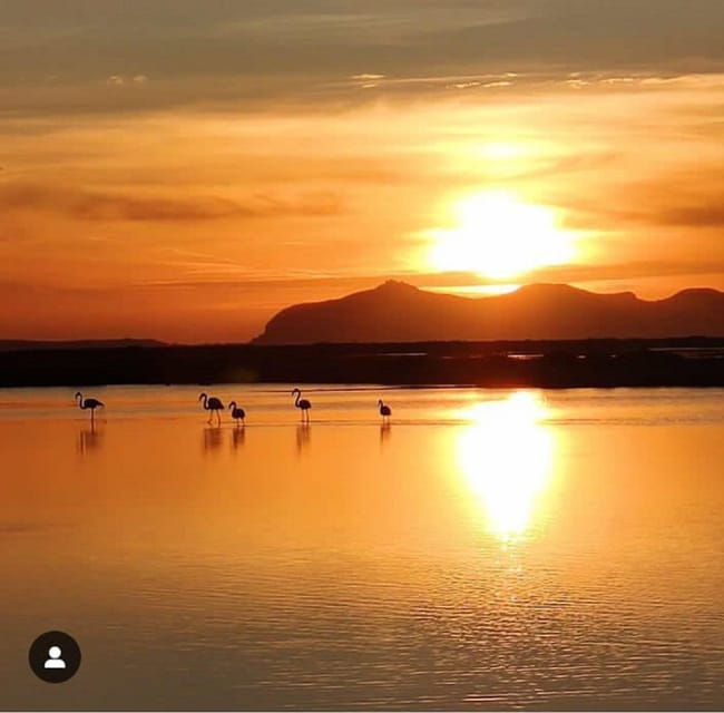 trapani-salt-pans-sunset-tour-and-flamingo-way