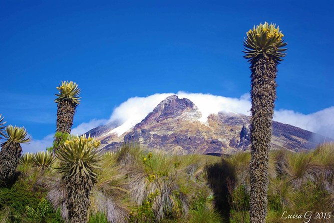 trekking-at-los-nevados-national-natural-park