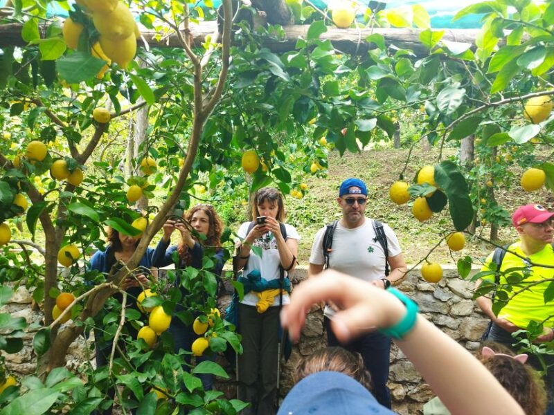 trekking-lemon-tour