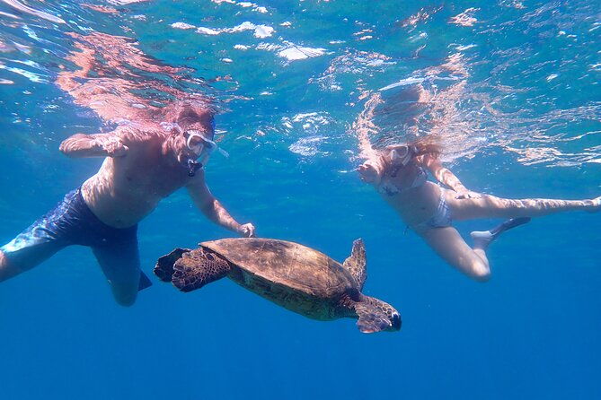 turtle-town-beach-snorkel
