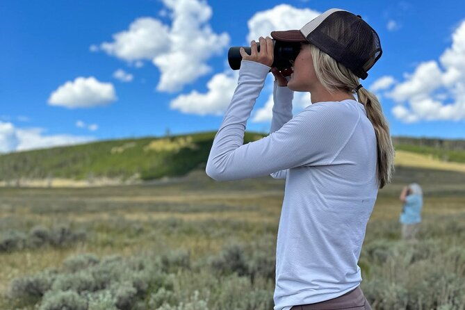 two-day-yellowstone-tour-upper-lower-loop-bozeman-private