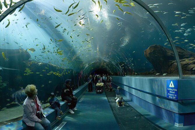 ultimate-atlanta-walking-tour-and-activities