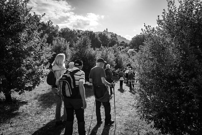 umbria-truffle-hunting-experience-with-brunch