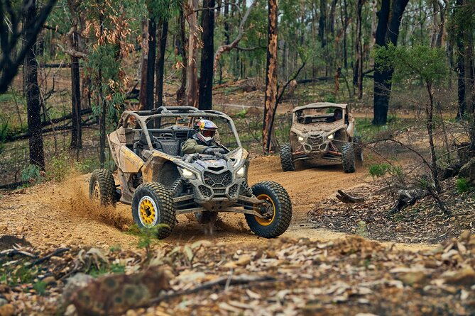 utv-rental-in-wickenburg