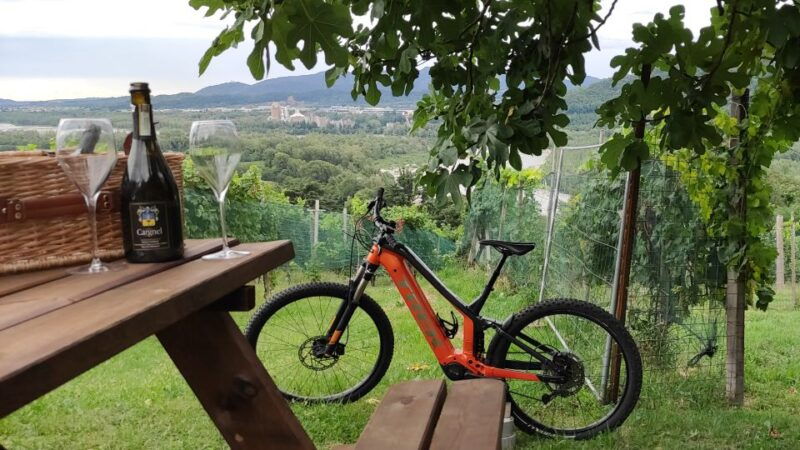 valdobbiadene-prosecco-hills-cycling-with-sommelier