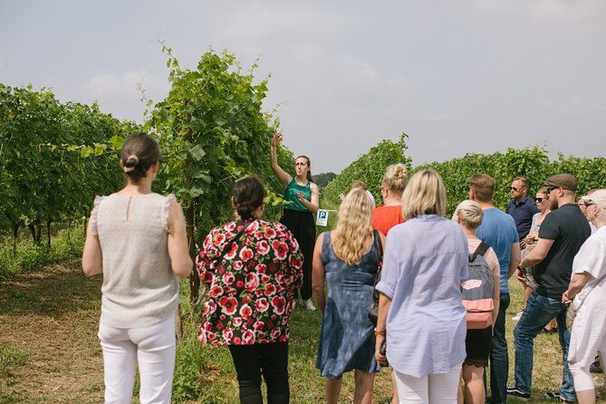 valeggio-sips-of-summer-3-young-wines-with-guided-tour