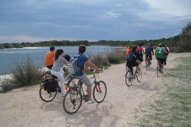 valencia-road-to-la-albufera-private-bike-tour