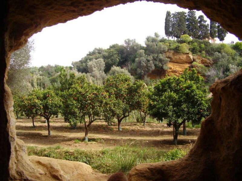valley-of-the-temples-kolymbethra-garden-entry-ticket