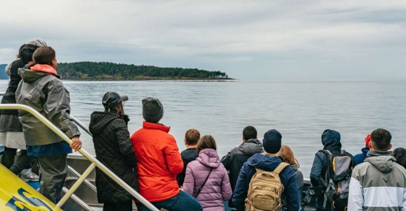 vancouver-covered-whale-watching-adventure-with-free-photos