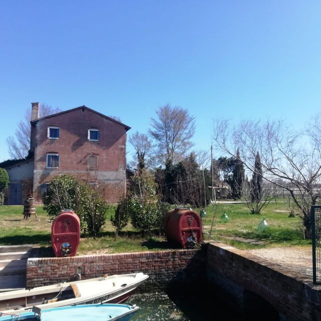 venice-bike-tour-honey-artichockes-on-santerasmo-island