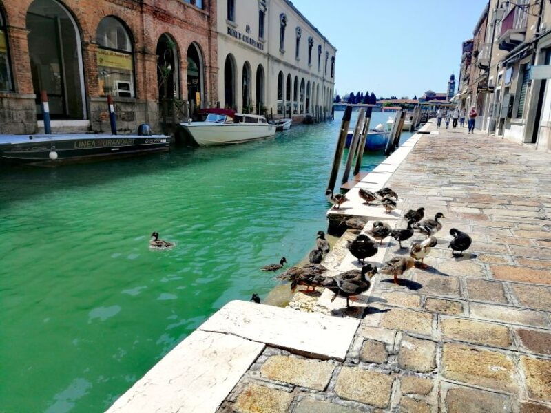 venice-mazzorbo-burano-and-murano-island-walking-tour