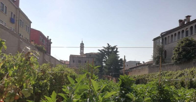 venice-secret-city-gardens-walking-tour