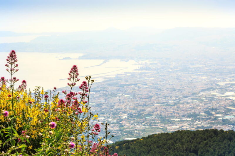 vesuvio-skip-the-line-ticket-with-digital-audioguide