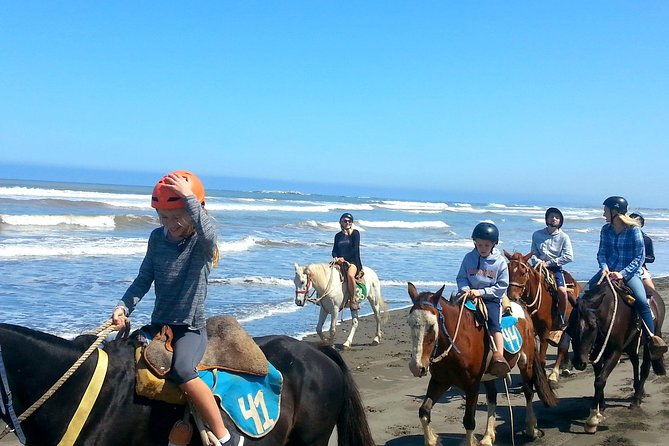 vina-del-mar-and-valparaiso-private-tour-including-horseriding