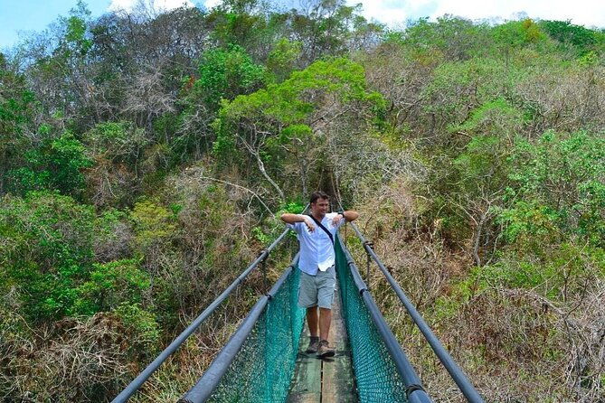 visit-ixpanpajul-jungle-trekking-hanging-bridges-canopy-tour-from-flores