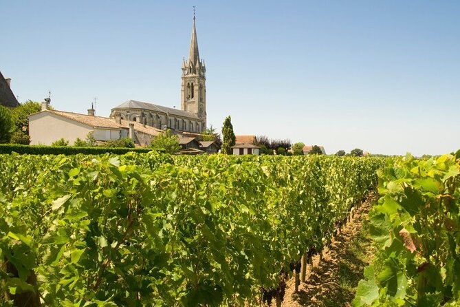visit-saint-emilion-and-pomerolvineyards-lunch-and-tastings-included