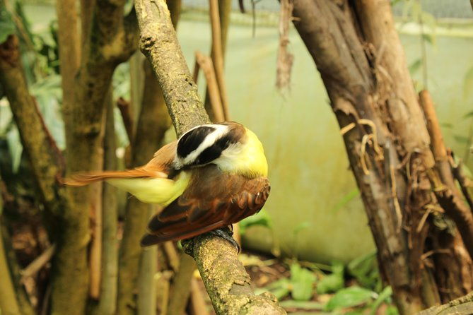 visit-to-la-reserva-biopark-private-tour-6-hrs