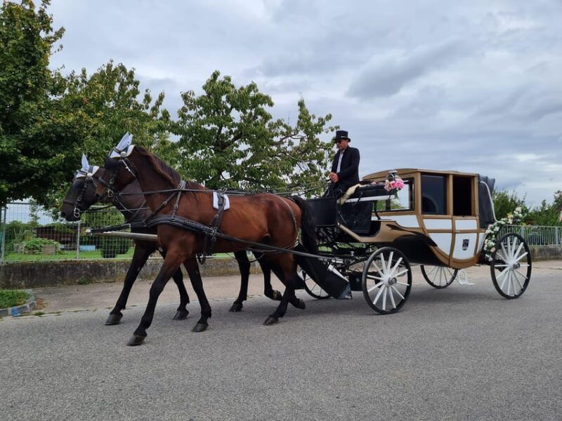 wachau-porcelain-carriage-a-sparkling-carriage-ride-through-the-vineyards