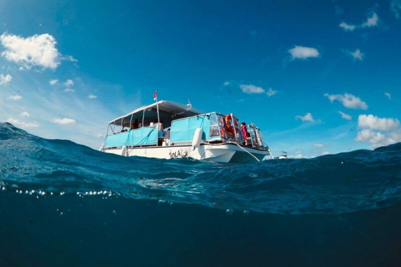 waikiki-snorkel-tour-with-hawaiian-green-sea-turtles