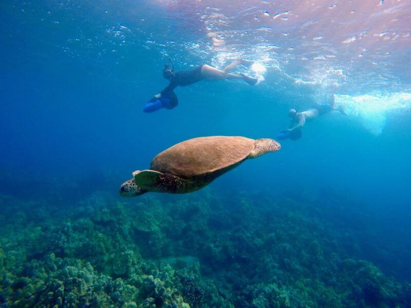 wailea-beach-guided-sea-scooter-snorkeling-tour