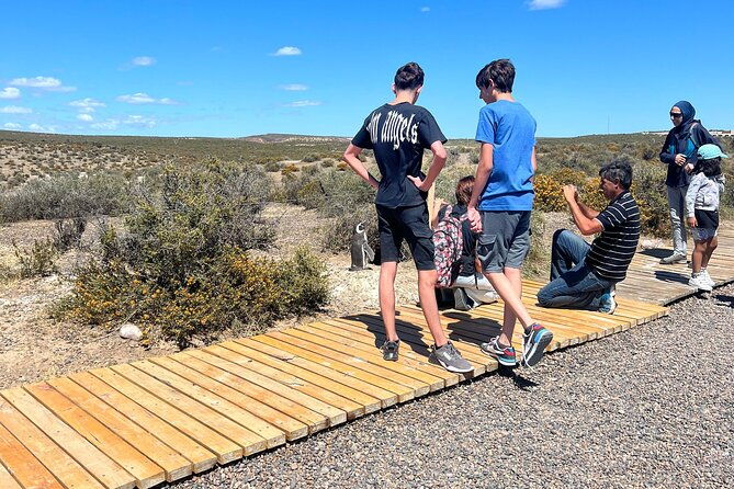 walk-with-the-penguins-in-punta-tombo-for-cruisers-in-private