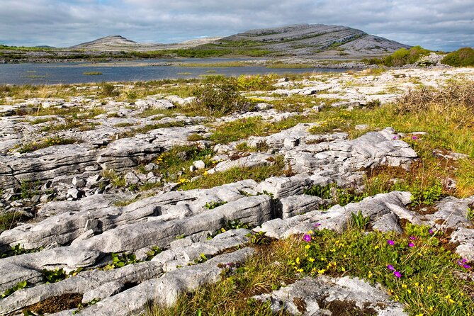 walking-in-the-burren-with-perfumery-visit-clare-guided-3-hours