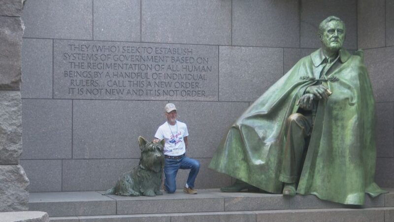 washington-dc-cherry-blossom-walking-tour