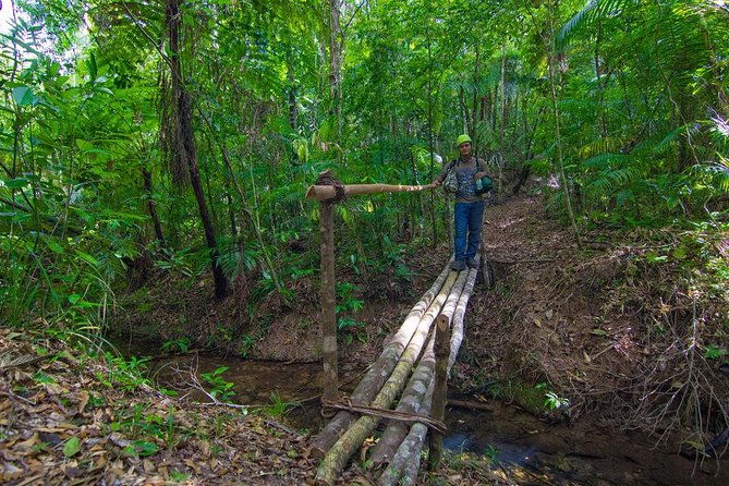 waterfall-rappelling-at-belize-bocawina-rainforest-falls