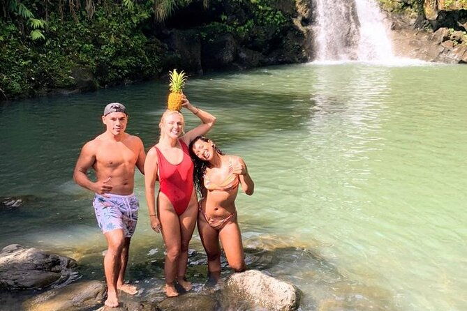 waterfalls-hike-rivers-tour-from-kahului