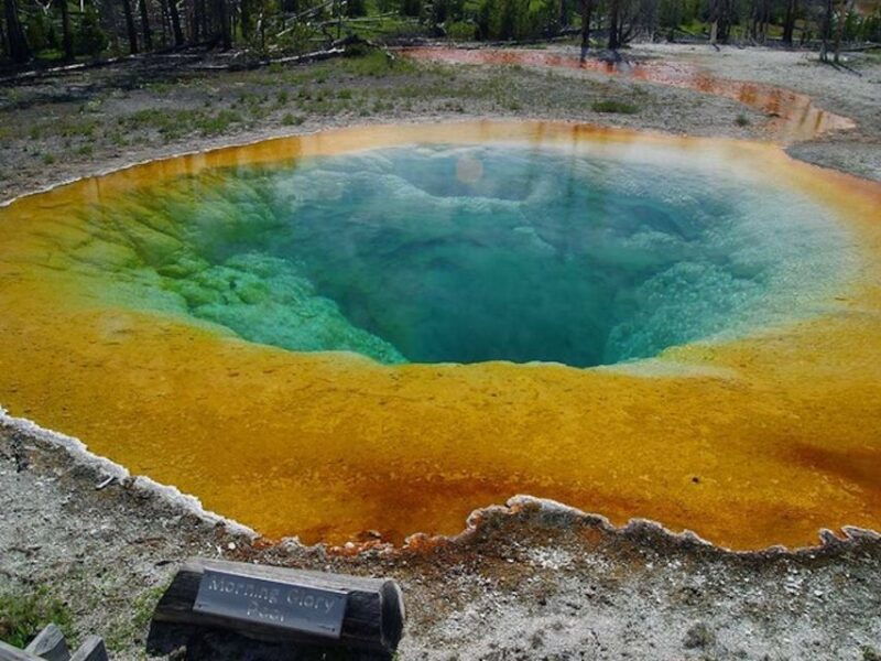 west-yellowstone-yellowstone-day-tour-including-entry-fee