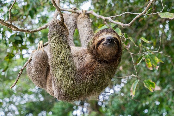 wildlife-rescue-center-private-tour