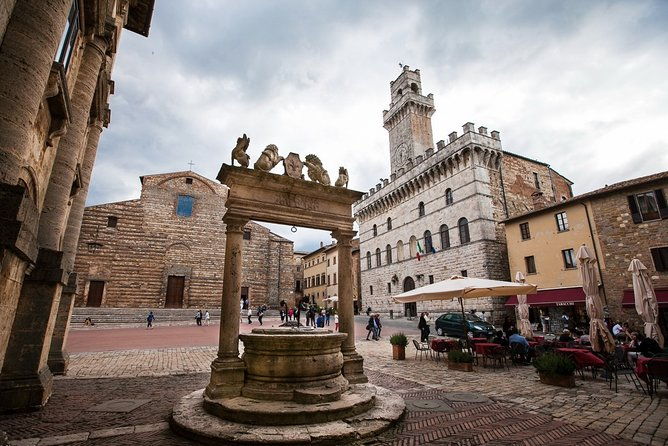 wine-cheese-and-evo-oil-tastings-in-tuscany-full-day-from-rome