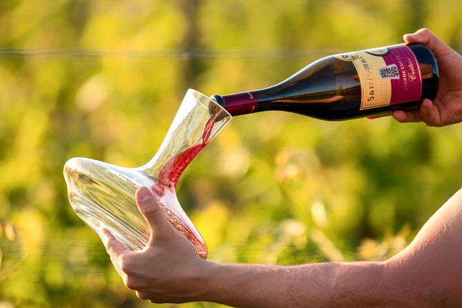 wine-degustation-in-the-heart-of-slovenian-istria