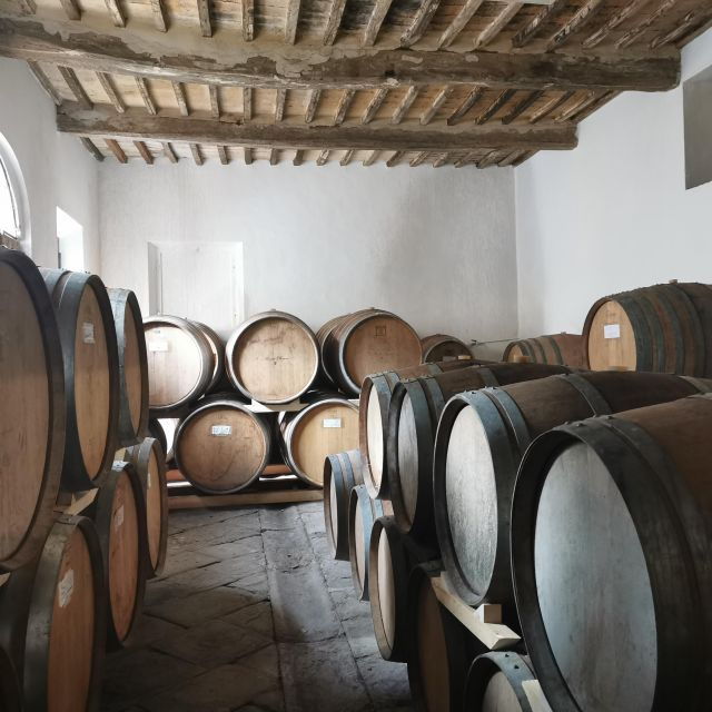 wine-experience-in-an-organic-chianti-winery