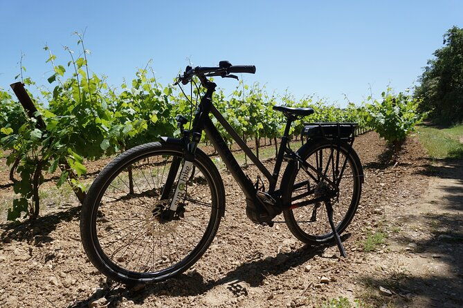 wine-of-the-luberon-by-e-bike-not-to-be-missed