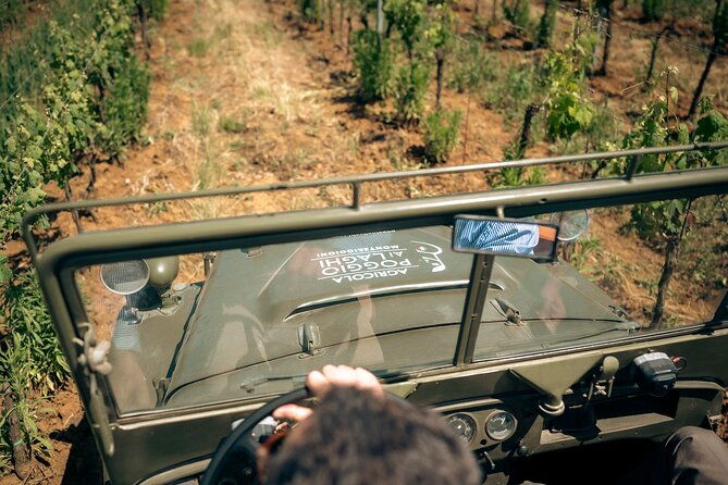wine-safaritour-of-poggio-ai-laghi-vineyard-on-a-vintage-offroad