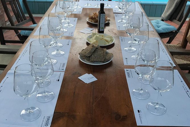 wine-tasting-in-pisa-with-sommelier-the-great-wines-of-tuscany