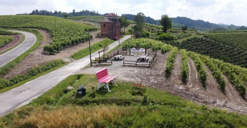 wine-tasting-of-monferrato-with-a-visit-to-the-winery