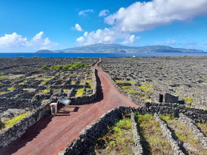 wine-tour-and-tasting-with-a-local-winemaker-at-pico-island-2