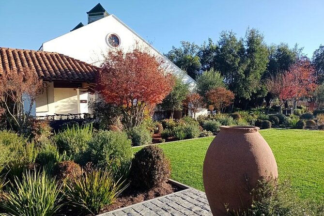 wine-tour-casas-del-bosquebodegas-re-vineyards-casablanca-valley