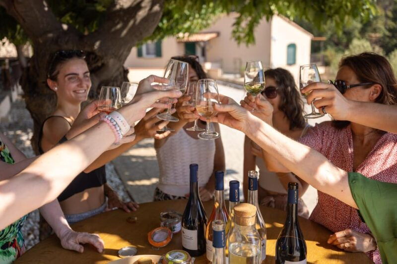 wine-tour-le-pradet