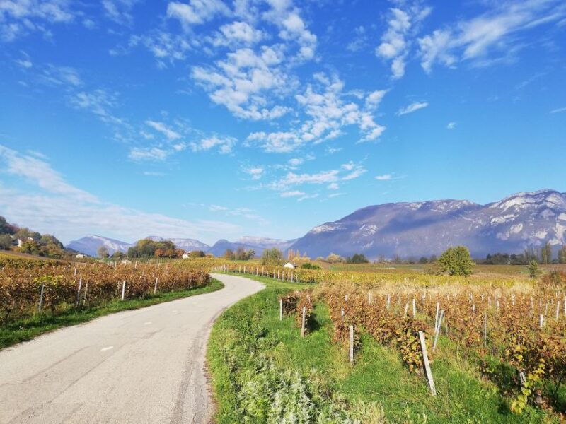 wine-tour-with-private-driver