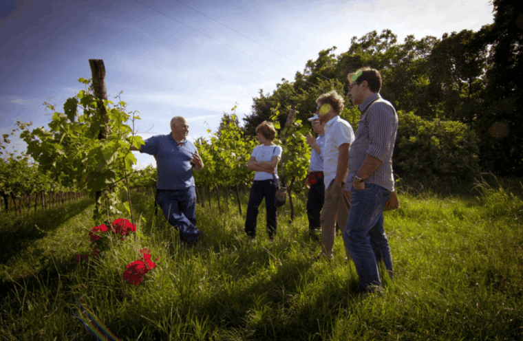 winery-tour-tasting-on-padova-hills